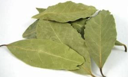 Dried Herbs